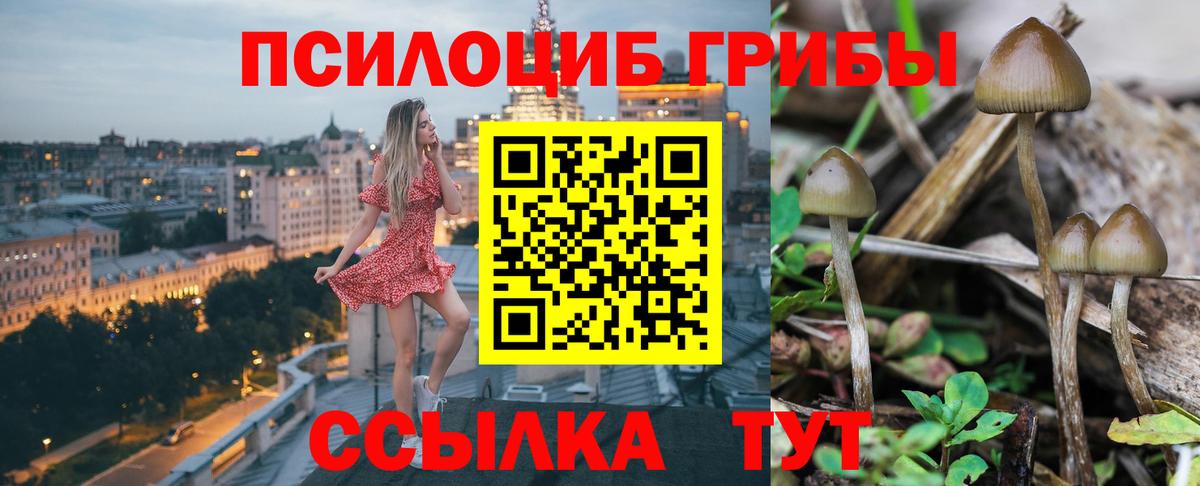Оренбург  Псилоцибиновые грибы Psilocybine cubensis  Вход с VPN 